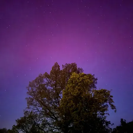 Villa - Dom W Gorach Sowich *