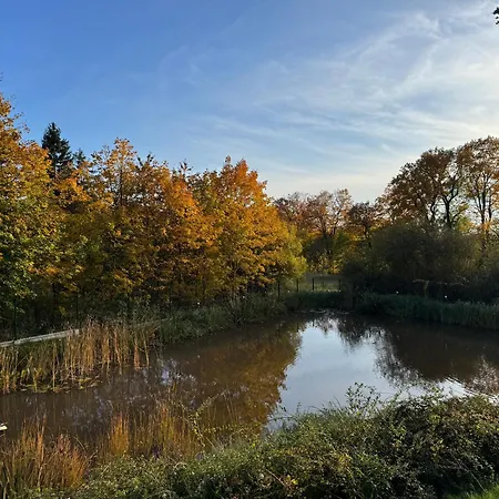 - Dom W Gorach Sowich Villa